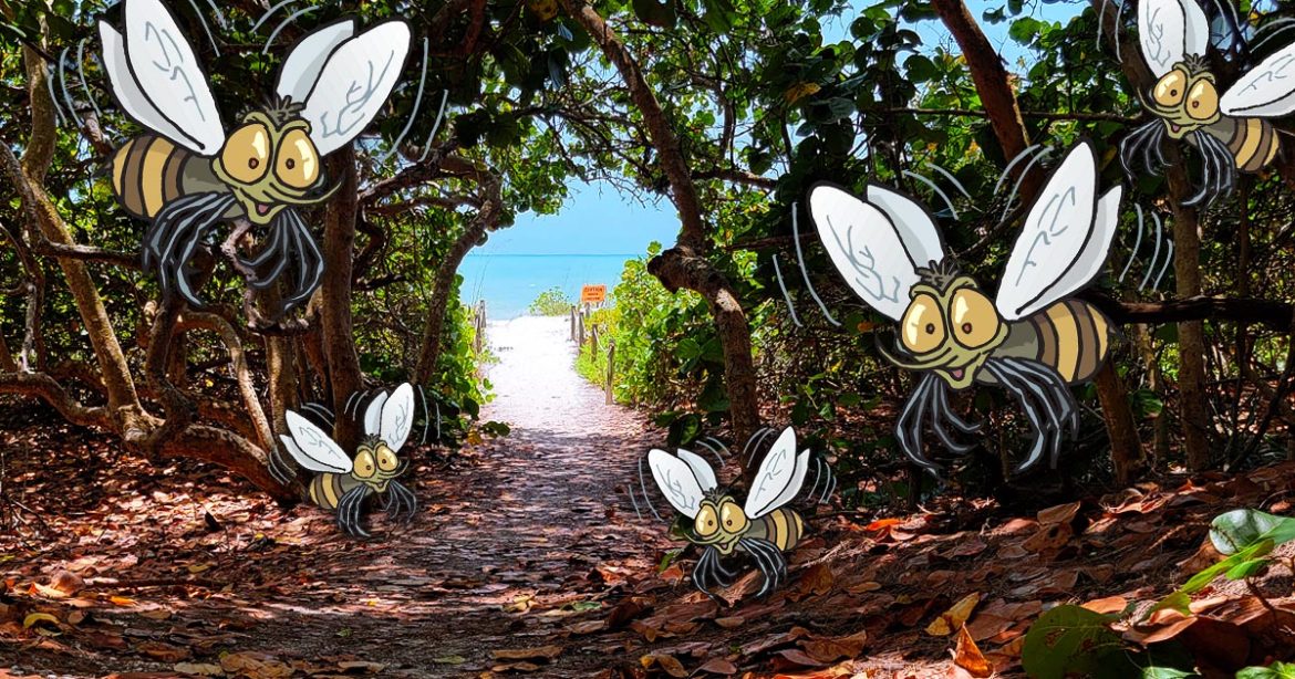 No See Ums on Sanibel Island