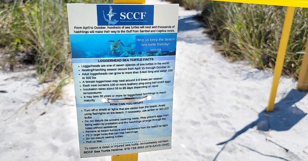 SCCF - TikTok Endangered Sea Turtle Nesting Site